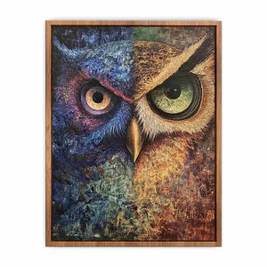 Two Tone Owl Canvas Painting