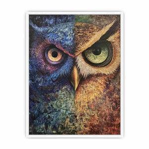 Two Tone Owl Canvas Painting