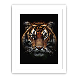 Close Encounter Canvas Painting