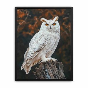 Sonwy Owl Canvas Painting