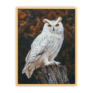 Sonwy Owl Canvas Painting