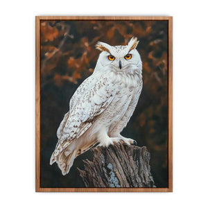 Sonwy Owl Canvas Painting