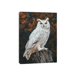 Sonwy Owl Canvas Painting
