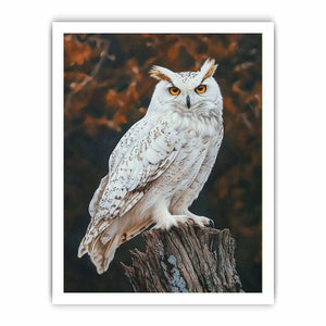 Sonwy Owl Canvas Painting