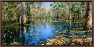 Australian wetland canvas art with gum trees, lily pads and reflective water for peaceful living room decor.