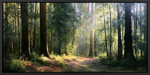 Woodland path canvas print with tall trees and soft sunlight for calming living room, office, or bedroom decor.