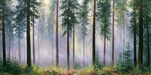 Misty pine forest canvas with tall trees and soft light for serene bedroom, office, or living room wall decor.