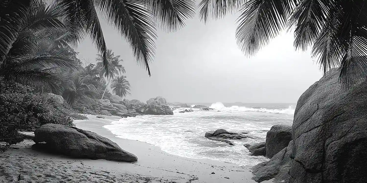 Black and white tropical beach canvas art for sophisticated coastal decor.