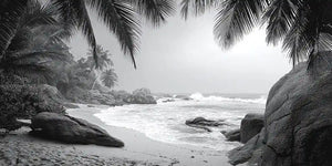 Black and white tropical beach canvas art for sophisticated coastal decor.