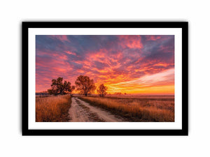 Canvas Print