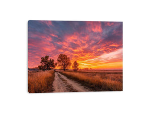 Autumn sunset Framed Print