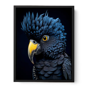 Black cockatoo portrait with blue feathers and golden beak for luxury office wall art.