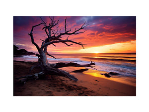Beach Sunset