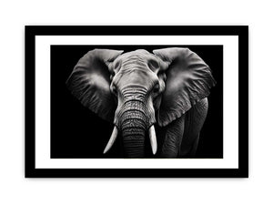 Black and white elephant canvas art for dramatic modern living room or office decor.