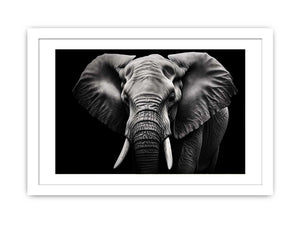 Black and white elephant canvas art for dramatic modern living room or office decor.