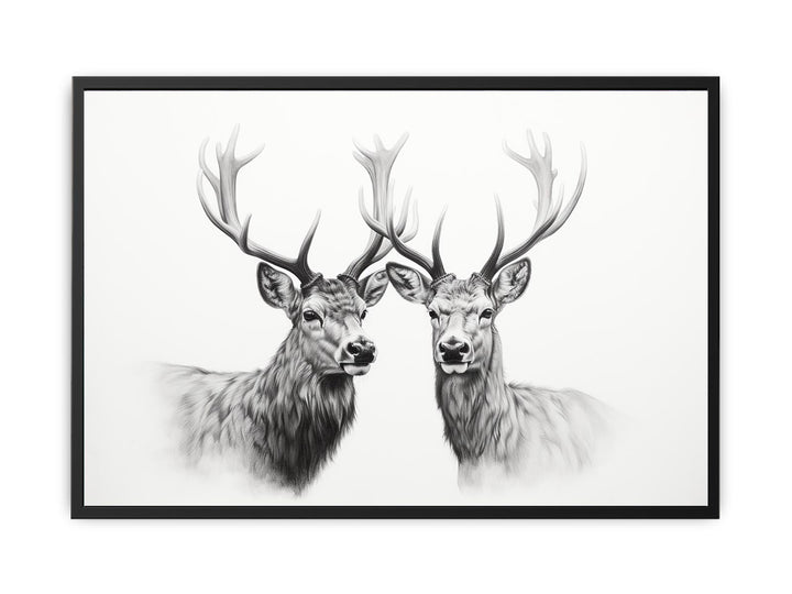 Black And White Deer  canvas Print