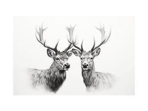 Black and white deer portrait canvas art with twin stags for calm bedroom wall decor.