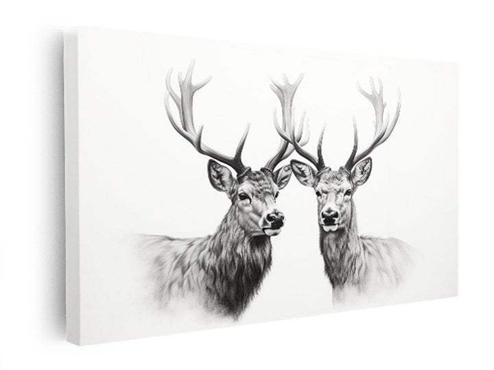 Black And White Deer  canvas Print