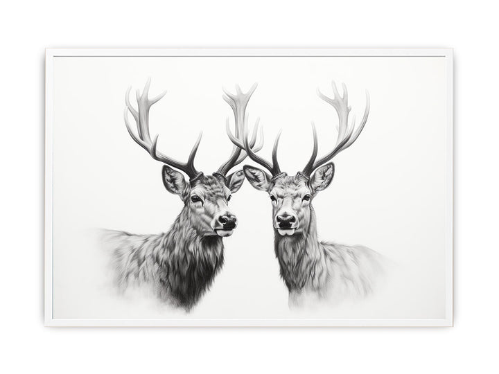 Black And White Deer  Painting