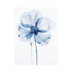 Blue Watercolor Flower Fine