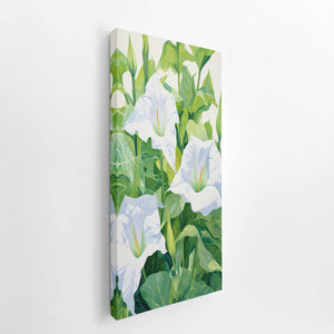 Jimson Weed Painting canvas Print