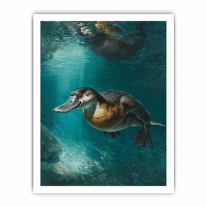Platypus underwater canvas art in soft green tones for calm bedroom or bathroom decor.