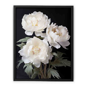 White Coral Peony Flower Art canvas Print