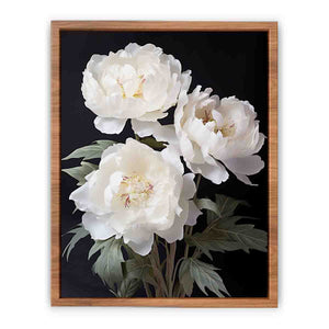 White Coral Peony Flower Art Painting