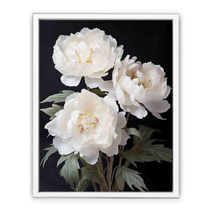 White Coral Peony Flower Art Painting