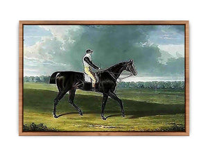 Filho da Puta', the Winner of the Great St. Leger at Doncaster Poster