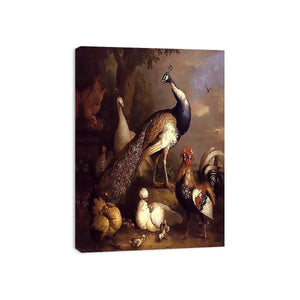 Peacock, Peahen and Poultry in a Landscape by Tobias Stranover Painting