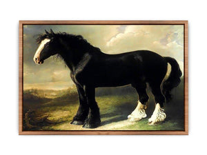 Old English Black Horse Poster