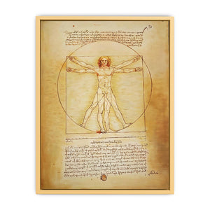 Vitruvian Man by Leonardo Da Vinci Streched canvas