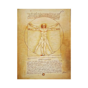 Vitruvian Man by Leonardo Da Vinci