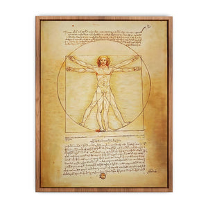 Vitruvian Man by Leonardo Da Vinci Poster