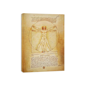 Vitruvian Man by Leonardo Da Vinci Painting