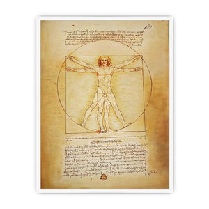 Vitruvian Man by Leonardo Da Vinci Framed Print