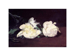 Branch of White Peonies and Secateurs by Edouard Manet