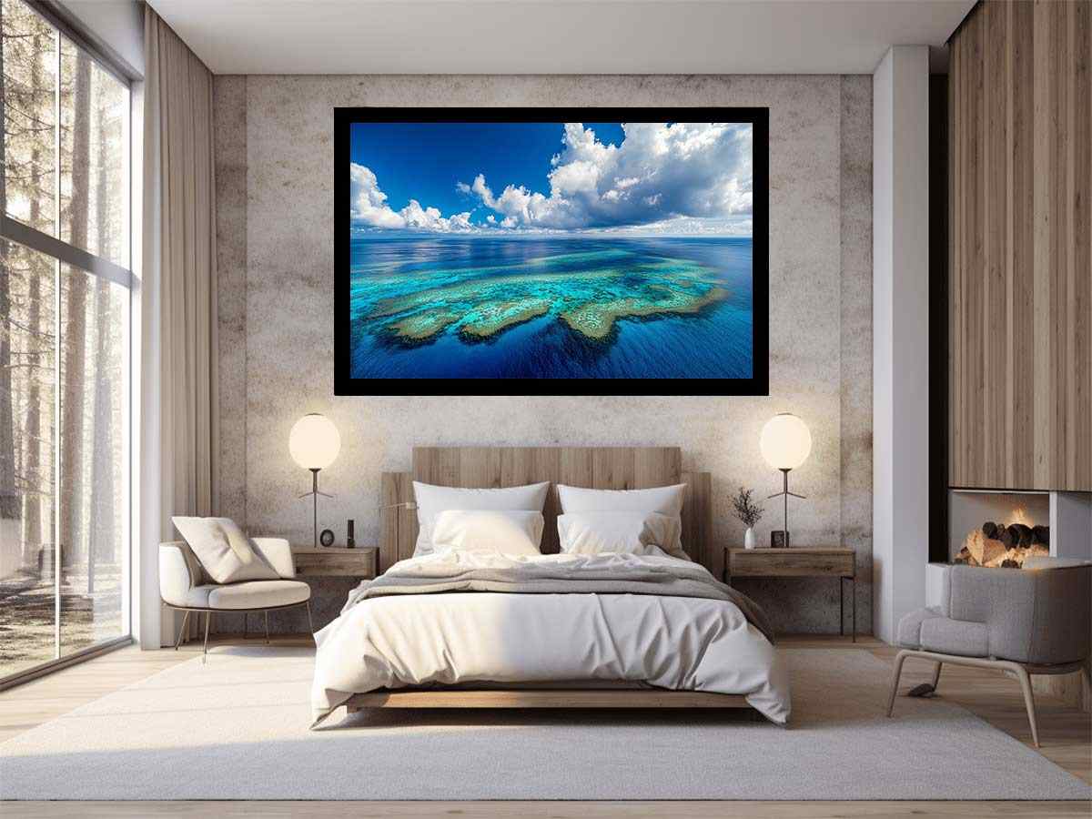 The Coral Kingdom