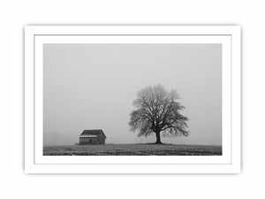 Black and white misty tree landscape photography canvas for modern office decor.