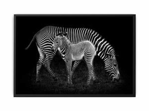 Mum & baby Zebra Painting