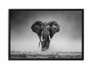 Elepahant Painting