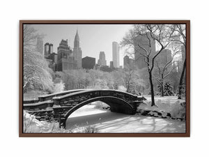 New York Central Park Poster