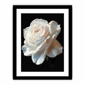 Rose Art Print