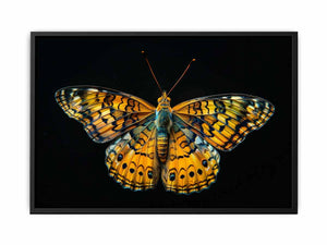 Butterfly Painting