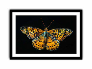 Butterfly Art Print