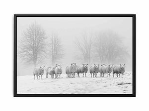 Sheep in the Field Painting