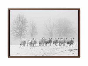 Sheep in the Field Poster