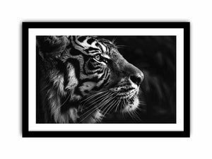 Lion Art Print
