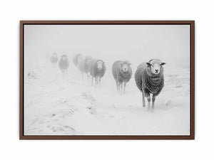 Sheeps in Field Poster